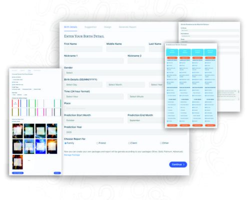 Numerology Software