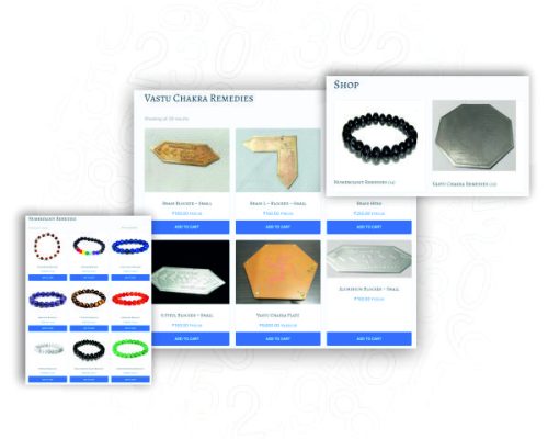 Shop Page